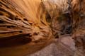 USA, Willis Creek